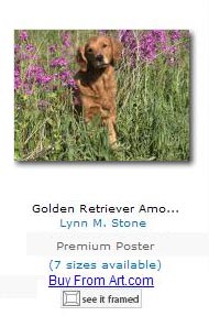 golden retriever poster