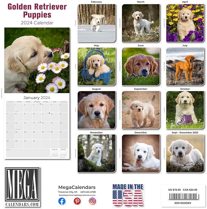 golden retriever calendars
